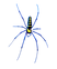 Spider On Web_edited_edited.png