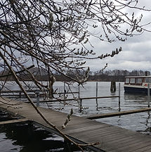 20180329_113109 - Copy.jpg