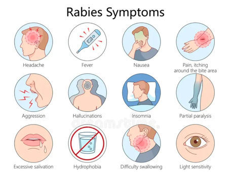 Rabies Prevention : Frequently Asked Questions