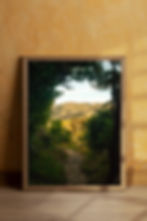 Thumbnail: Wharariki Beach Forest