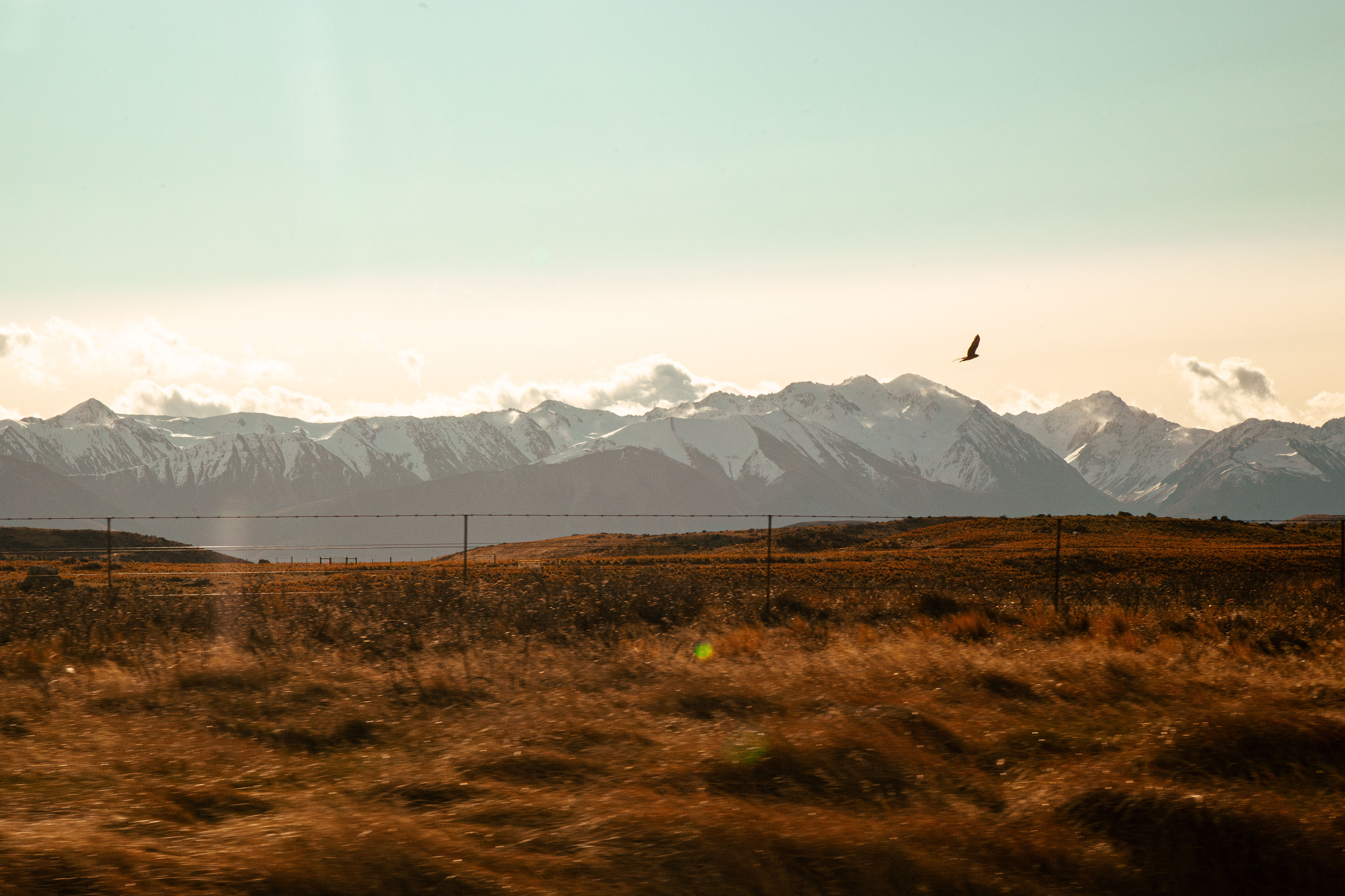 The Road To Tekapo