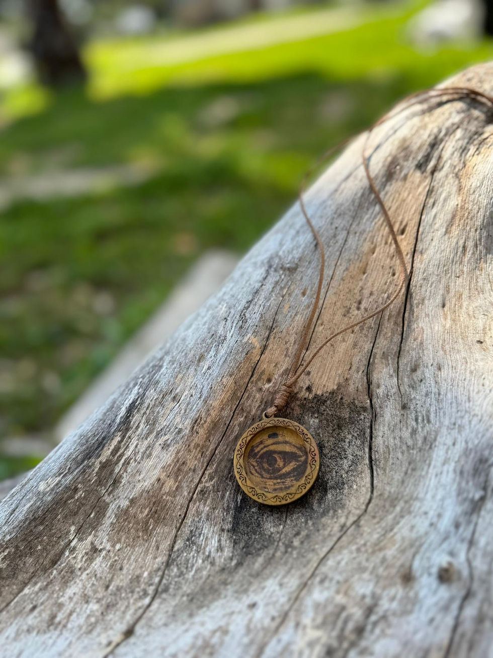 תליון עגול עם סמל עין על גזע עץ