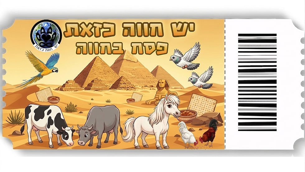 האכלת בוקר 03/04 שעות 10:00-13:00 