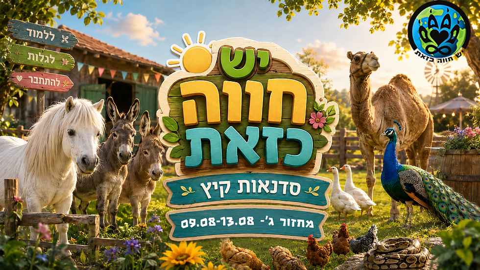 סדנאות קיץ מחזור ג’- 09/08-13/08