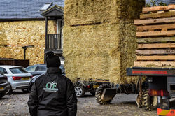 Cotswold-Forage-Gallery-27.jpeg
