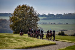 Cotswold-Forage-Gallery-24.jpeg