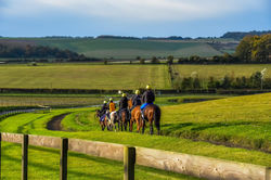 Cotswold-Forage-Gallery-37.jpeg