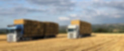 Lorry1.jpeg