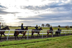 Cotswold-Forage-Gallery-38.jpeg