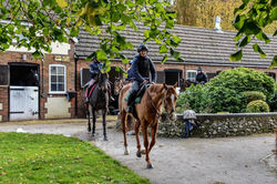 Cotswold-Forage-Gallery-23.jpeg