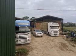 Trucks in the yard