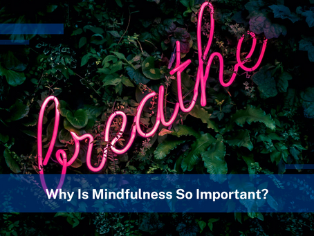Why Is Mindfulness So Important?
