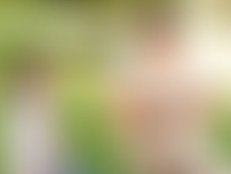 Бизнес-идея: Организация быстрых свиданий