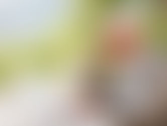 Связи решают всё!!