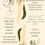 Thumbnail: Perfect Pear Bridal Shower Invite Bundle
