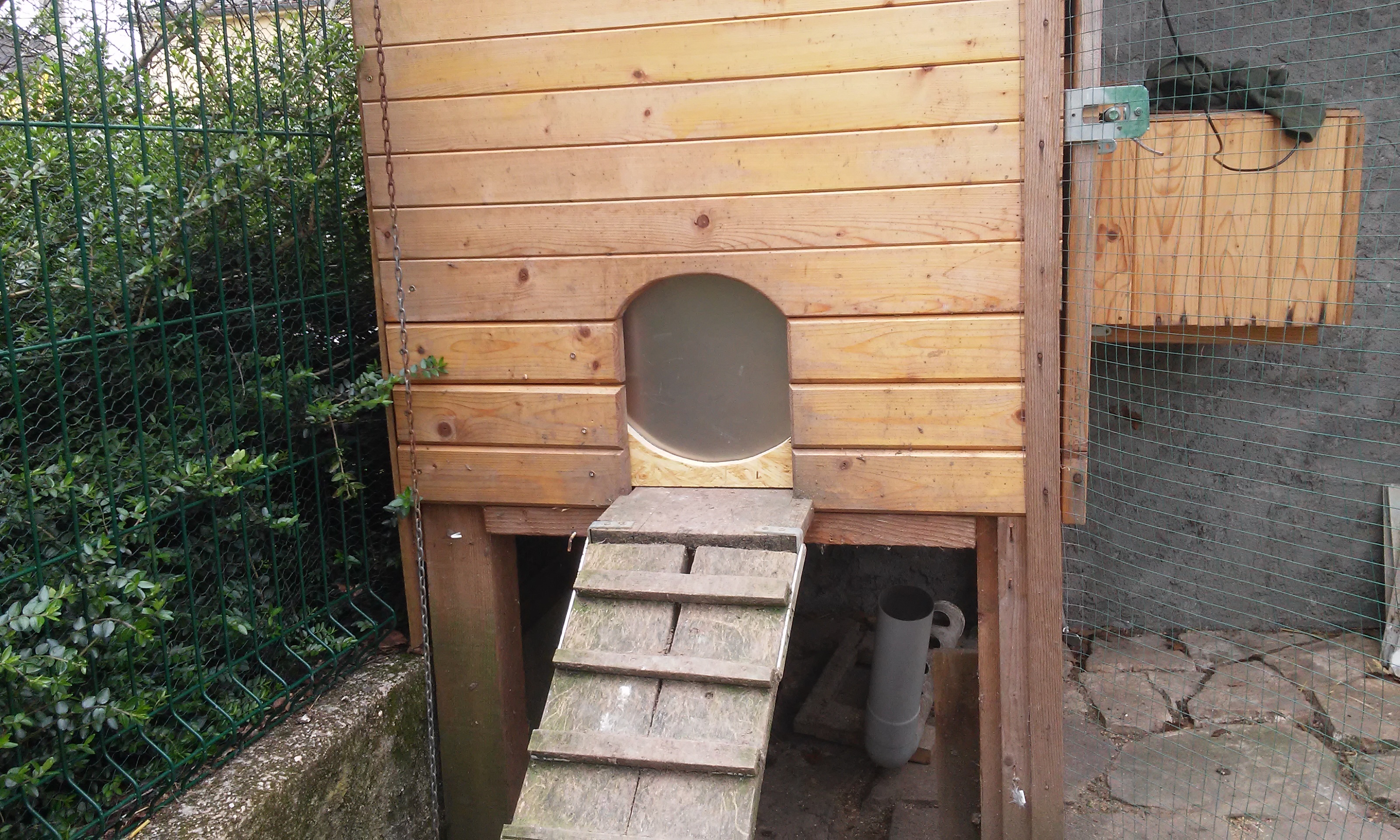 Porte poulailler automatique CKDort_24