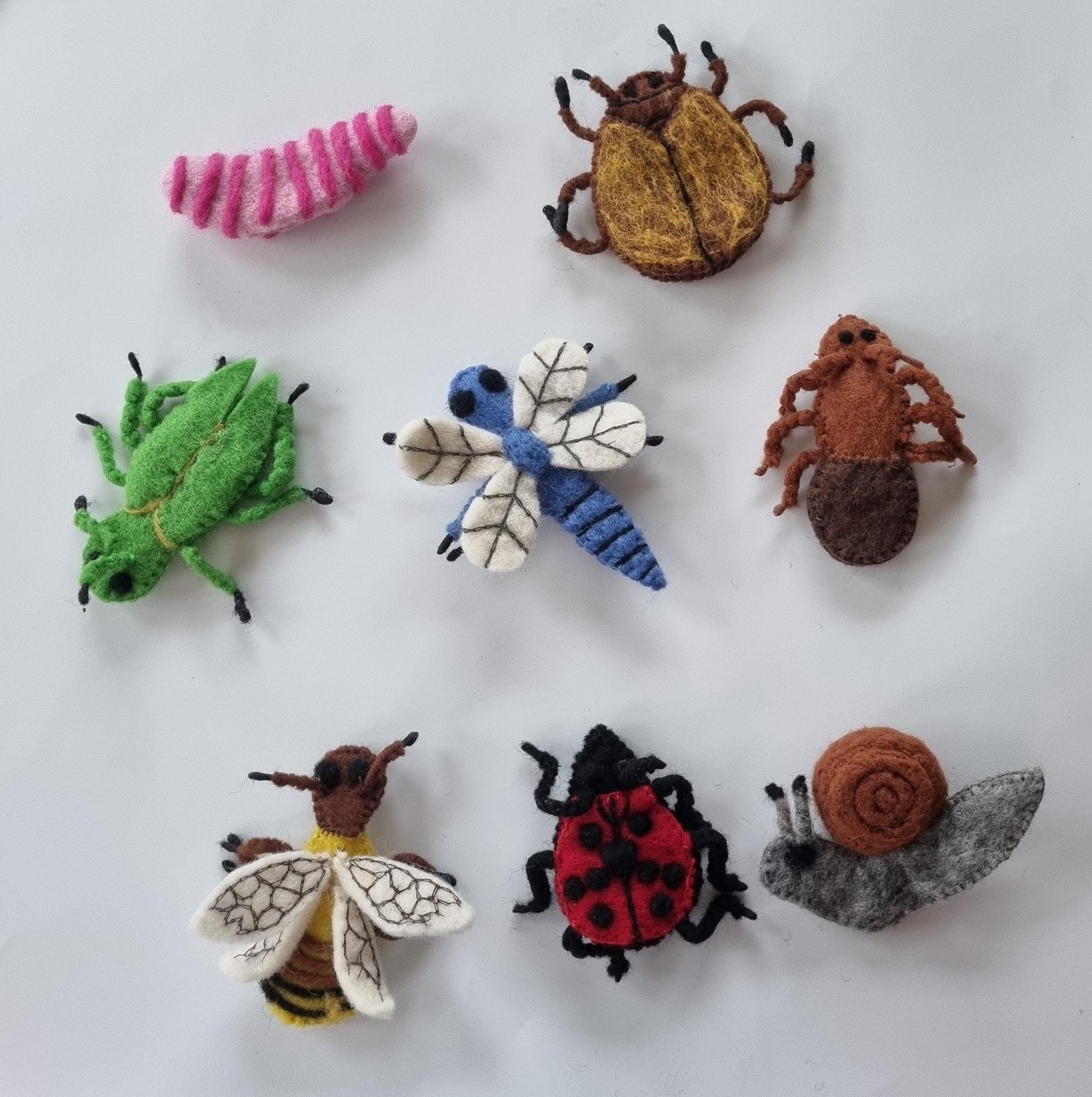 Backyard Bugs
