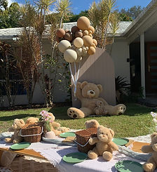 Teddy Bear Picnic Theme_edited.jpg