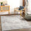 Thumbnail: Carmel Machine Woven Rug