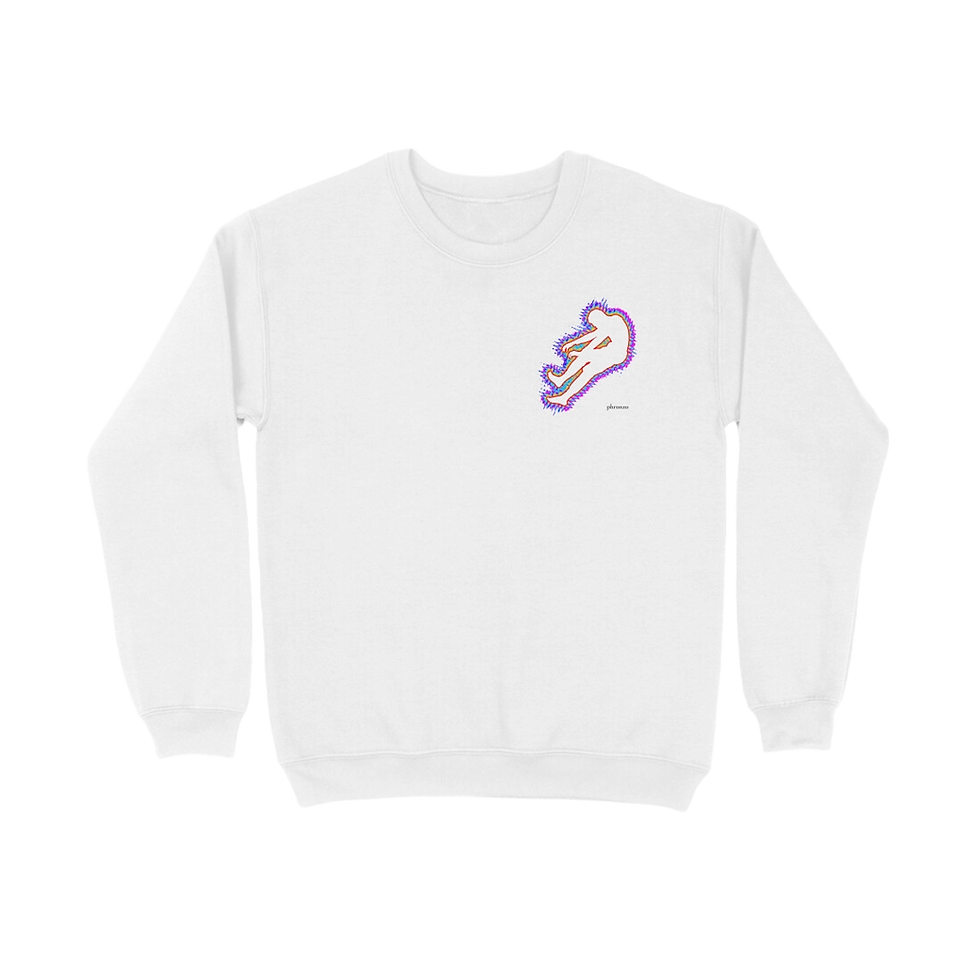 Sweatshirt Front
