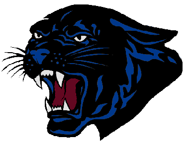 panther.webp