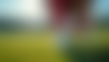 The Role of Sports Psychology in Youth Development: Building Mental Toughness for Kids