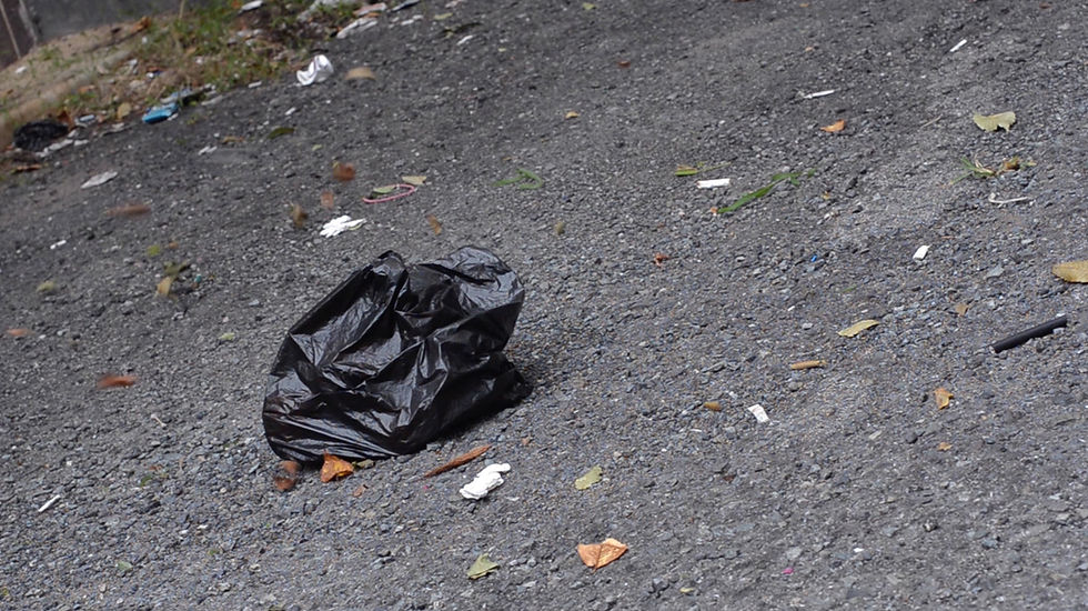 a Plastic bag, 2014