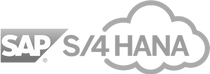 205-2057465_sap-logo-png (1)_edited.png