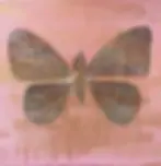Orignial abstract butterfly with gold, pinks, white, blues painting by Kasey Klein, Artist.