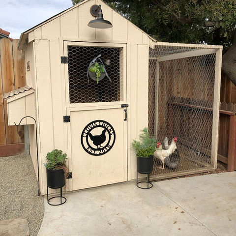 Quirky chicken decor, proudly displayed on a chicken coop, expertly fabricated from sturdy metal ACM by PK Decor, ideal for farm enthusiasts and rustic style lovers