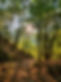 IMG20220804195602.jpg