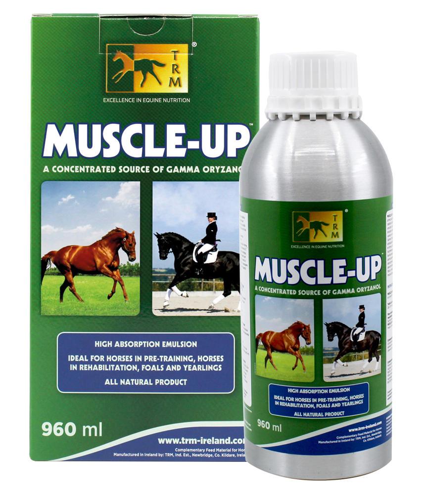 TRM Muscle Up