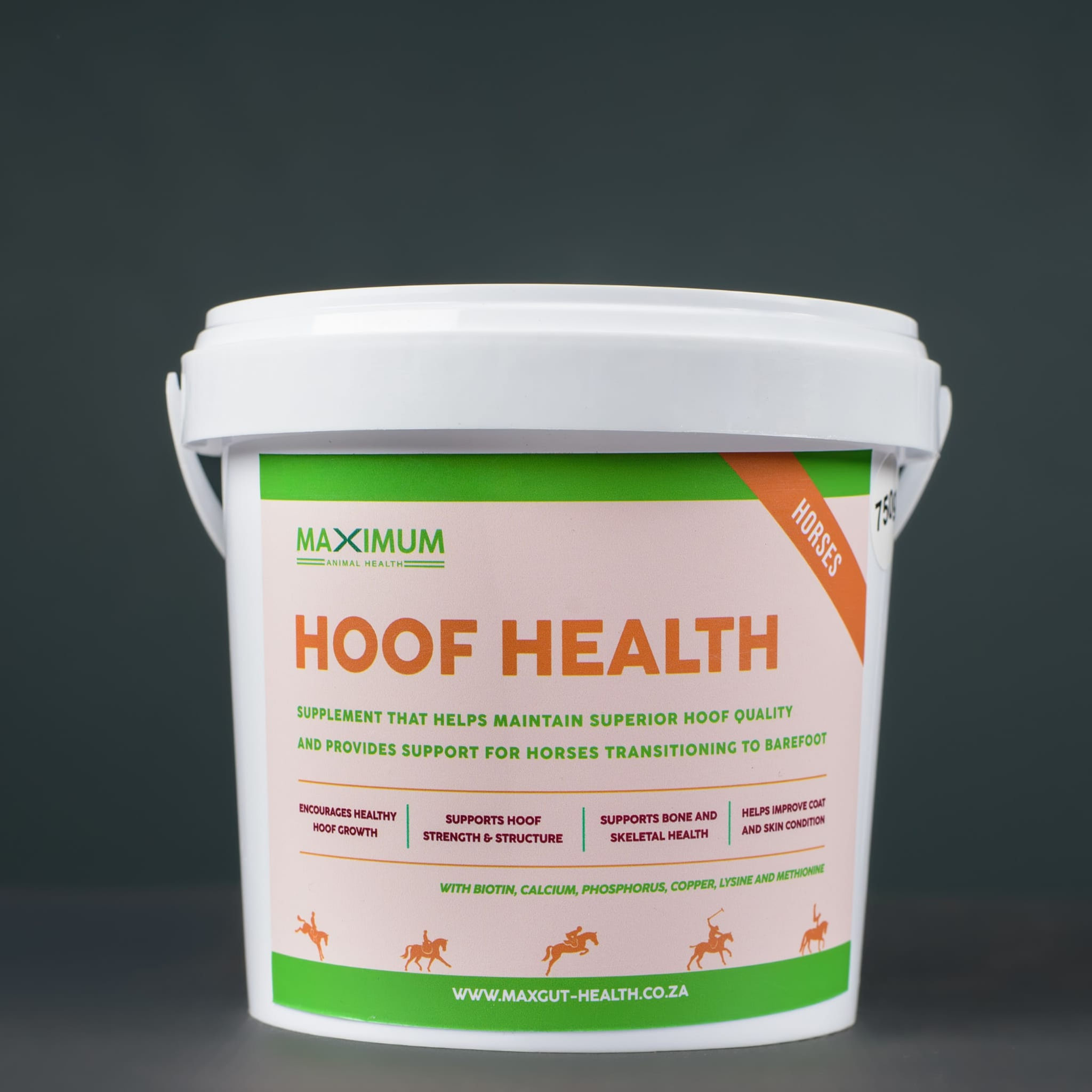 Max Hoof Health