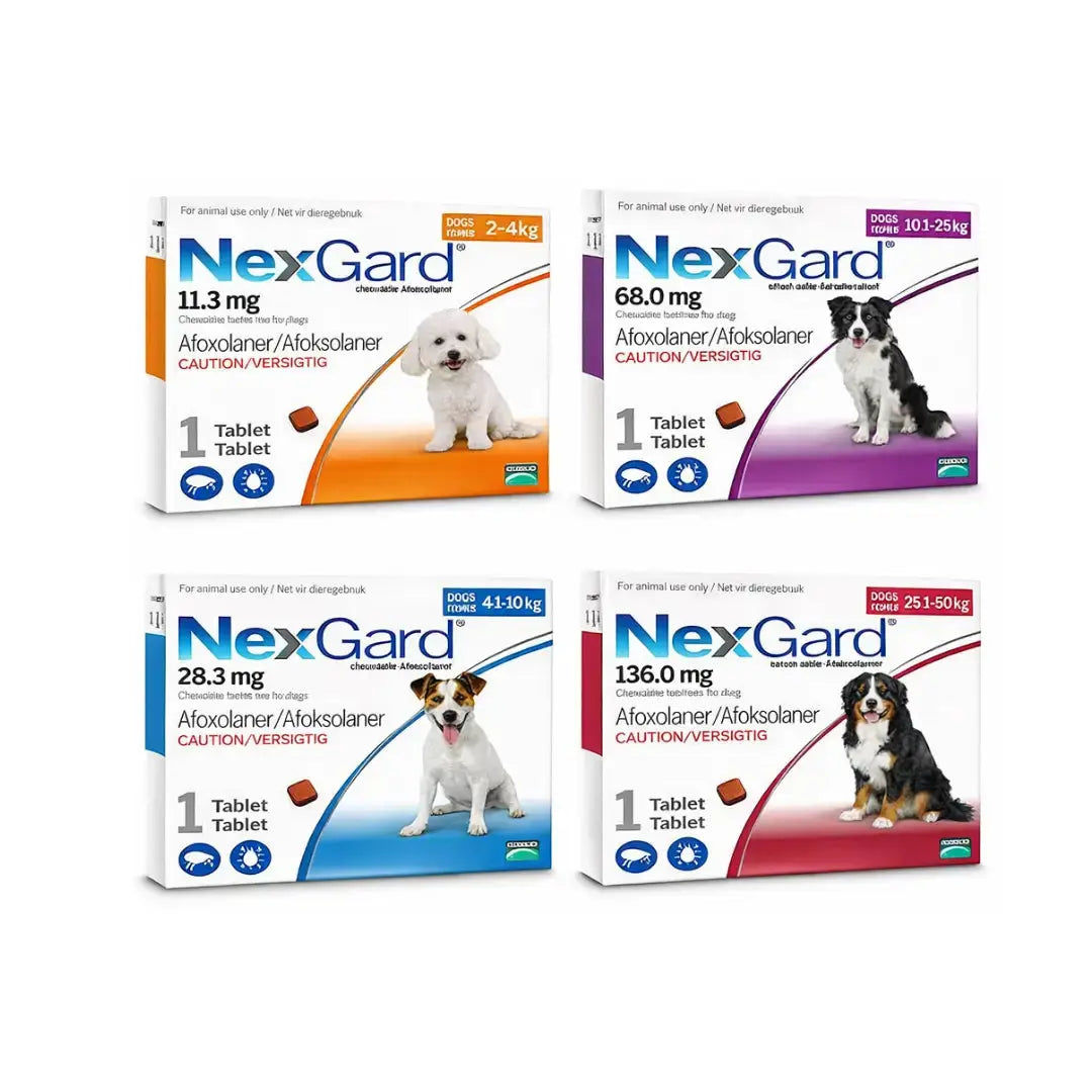 NexGard Chewable Tick & Flea Tablets for Dogs
