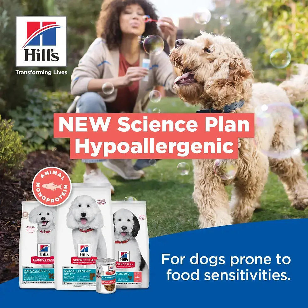 Thumbnail: Hill's Science Plan Hypoallergenic Salmon Large Breed Adult Dog Food