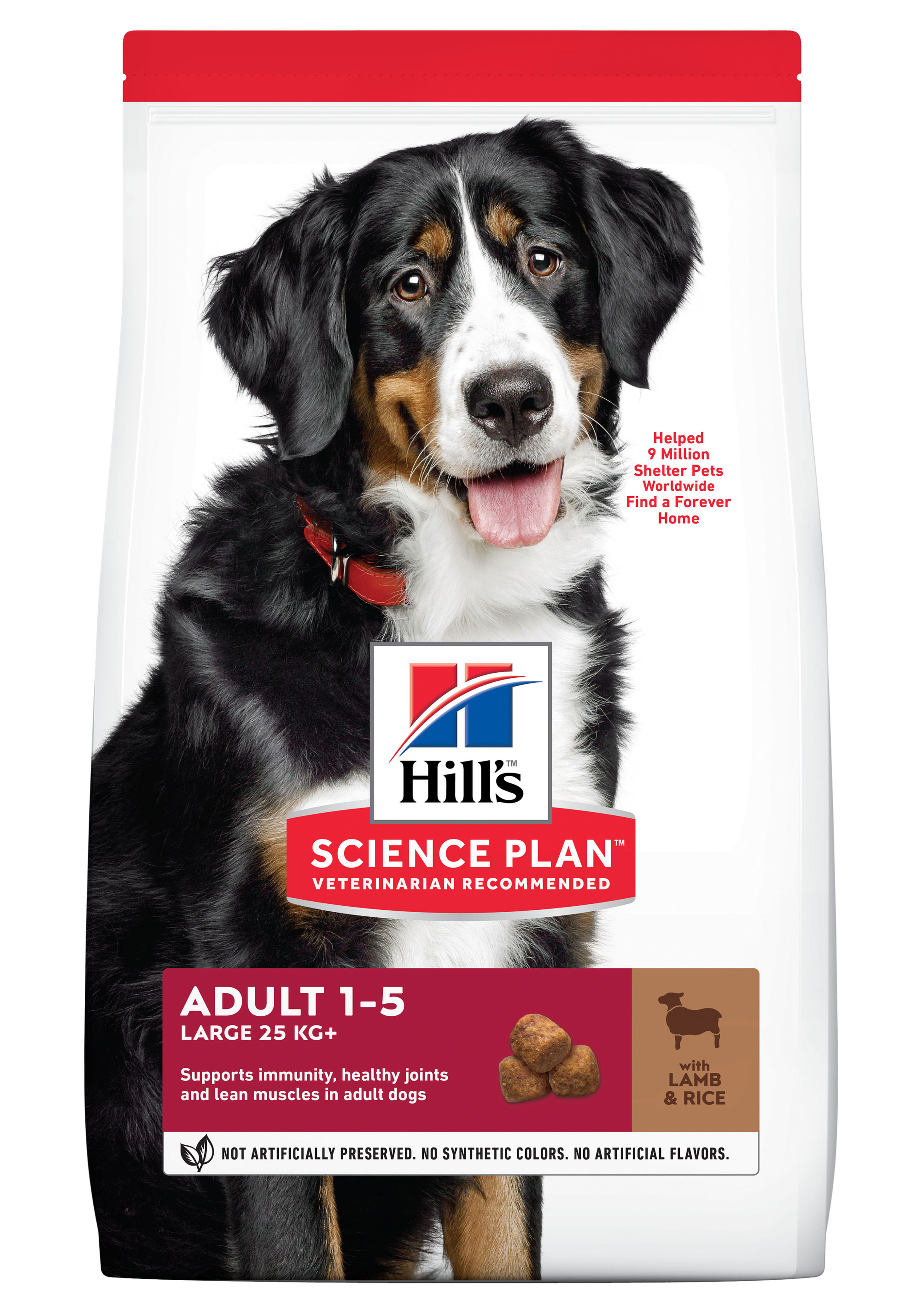 Hill's Science Plan Large Breed Adult Lamb & Rice Dry Dog Food