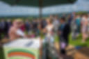 Wedding guests in the country around the ice cream trike