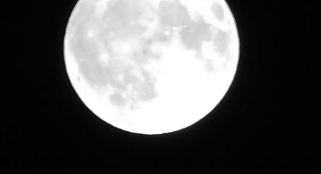 DJI_20250611000259_0017_Z.JPG
