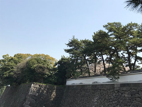 皇居　東御苑　石垣.jpg