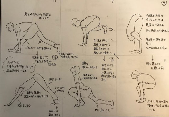 太陽礼拝 2 トリミ