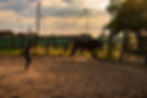 _DSC0601.jpg