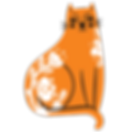 orange scandi cat 3