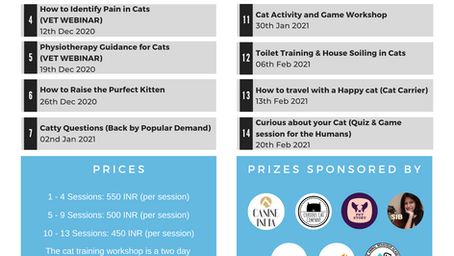 The Cat Behaviour Webinar Series (The first of it's kind in India)