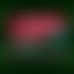 Potchefstroom Academy & SAAHST (North West - Potchefstroom)