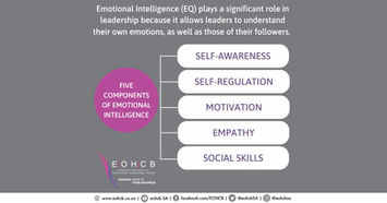EOHCB: Leadership and Emotional Intelligence