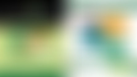 Bargaining Council: Covid-19 Information