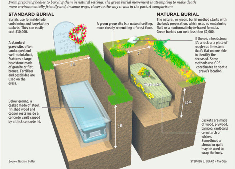 A greener way to go | CoSphere