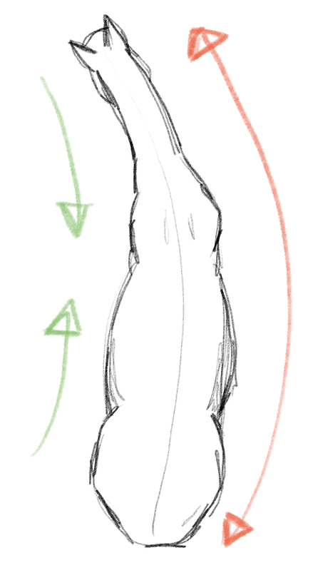 links kort rechts lang.png