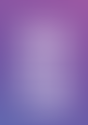 DDW 2017: Trendbook & Trendtours