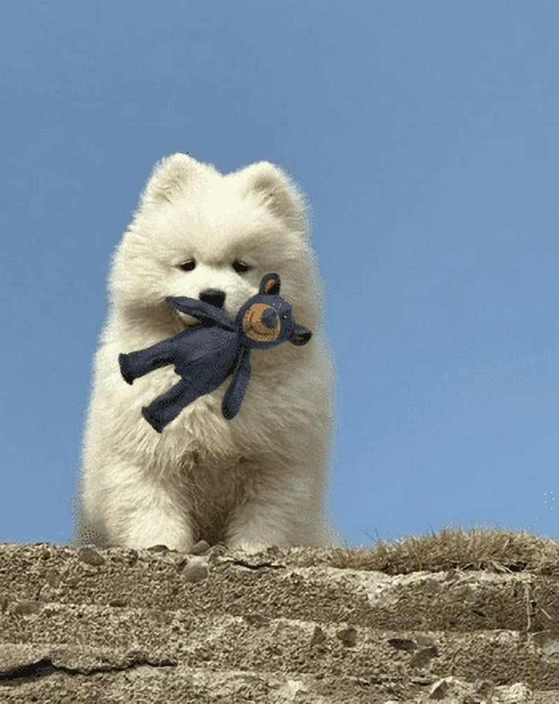 Thumbnail: Unbreaka Bear - 2025 New Unbreakable Bear Dog Toy - Indestructible Plush Bear fo